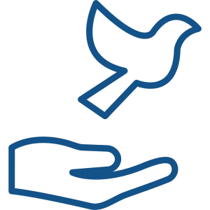 pictogramme d'un oiseau prenant son envol